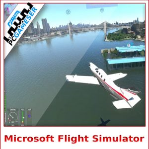 محاكاة الطيران