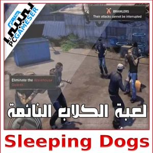 Sleeping Dogs