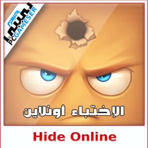 Hide Online